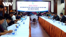 Hội thảo xây dựng Đề án phát triển cà phê đặc sản Việt Nam.
